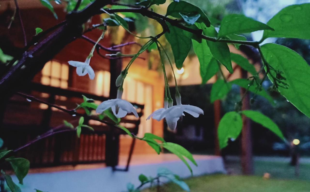 Rai Lung Tui Homestay Πράτσουατ Κίρι Χαν Εξωτερικό φωτογραφία