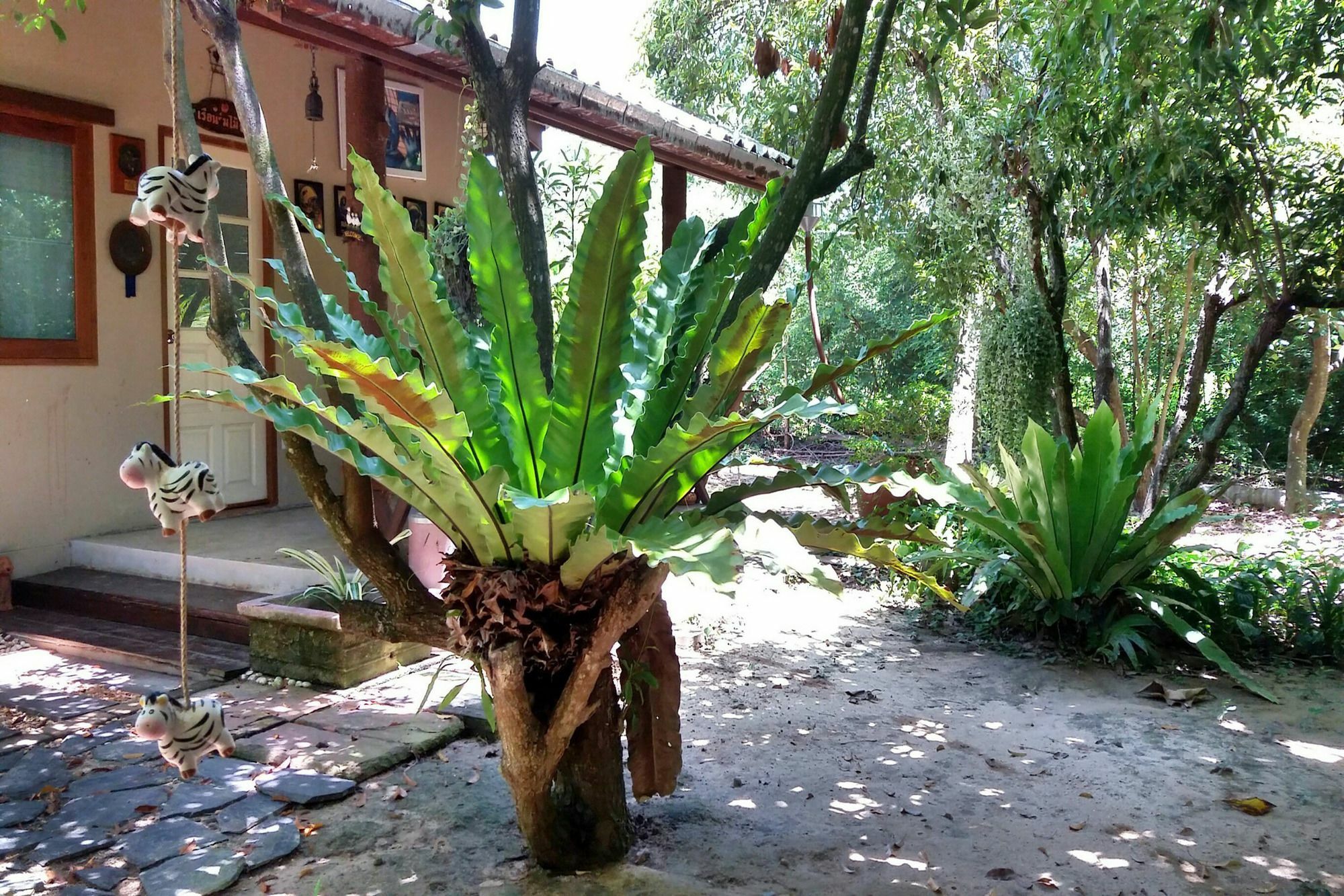 Rai Lung Tui Homestay Πράτσουατ Κίρι Χαν Εξωτερικό φωτογραφία